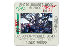 Tiger Woods 2000 US Open