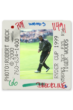 Tiger Woods 1999 Ryder Cup, Brookline