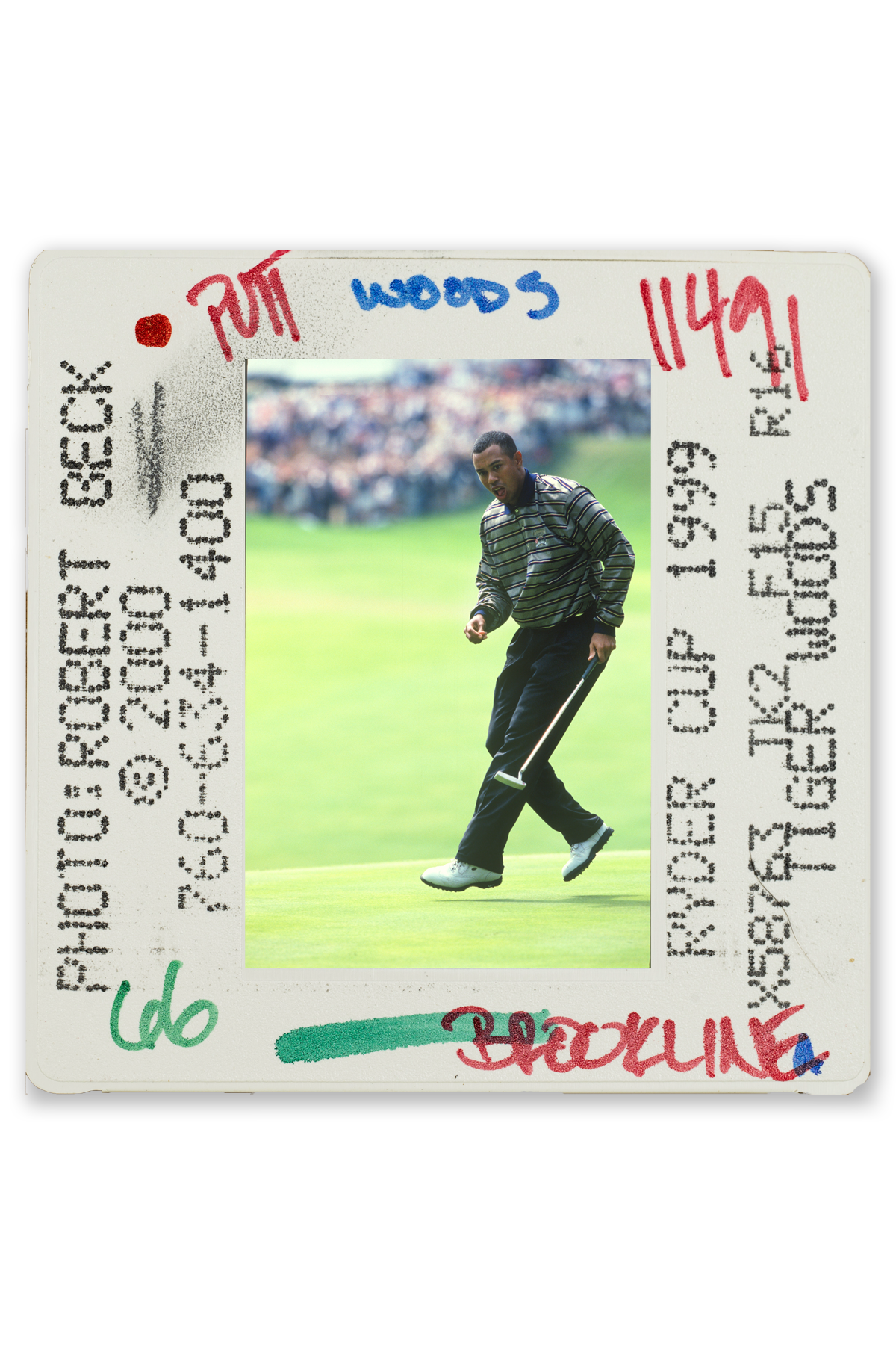 Tiger Woods 1999 Ryder Cup, Brookline