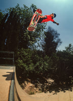 Christian Hosoi Hollywood