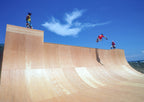 STEVE CABALLERO CHIN RAMP 1986