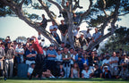 Tiger Woods 2000 US Open