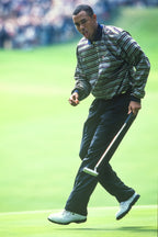 Tiger Woods 1999 Ryder Cup, Brookline